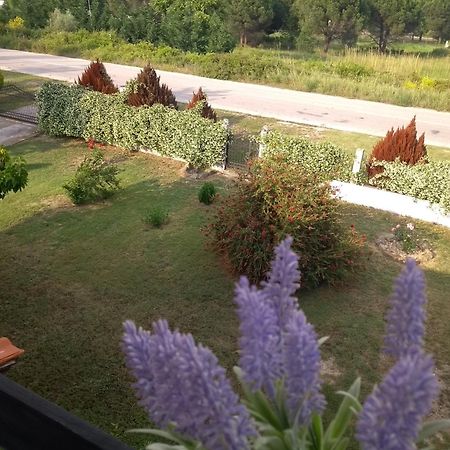Athina Vourvourou Apartments Dış mekan fotoğraf